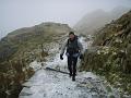 Pyg track